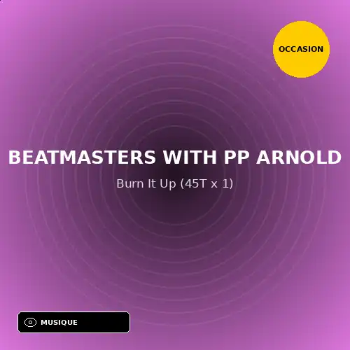 Beatmasters With Pp Arnold - Burn It Up (45T x 1) (Support d'occasion)